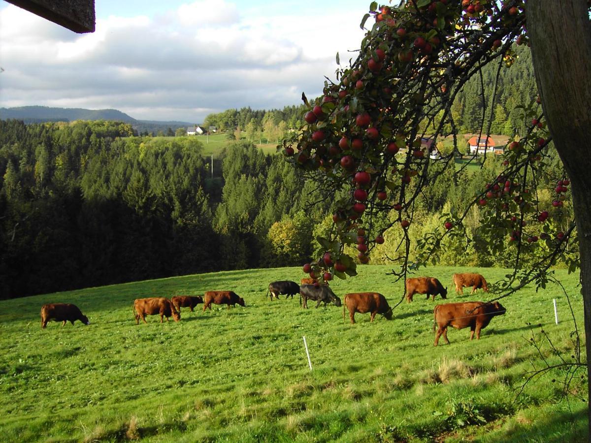 Ferienwohnung Hofenhof Schiltach Eksteriør billede